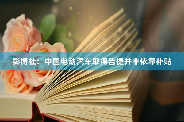 彭博社：中国电动汽车取得告捷并非依靠补贴