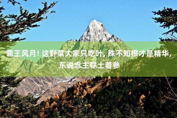 霸王风月! 这野菜大家只吃叶, 殊不知根才是精华, 东说念主称土着参