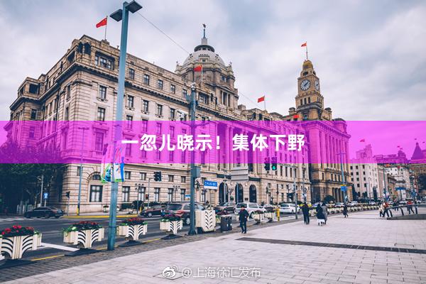 一忽儿晓示！集体下野