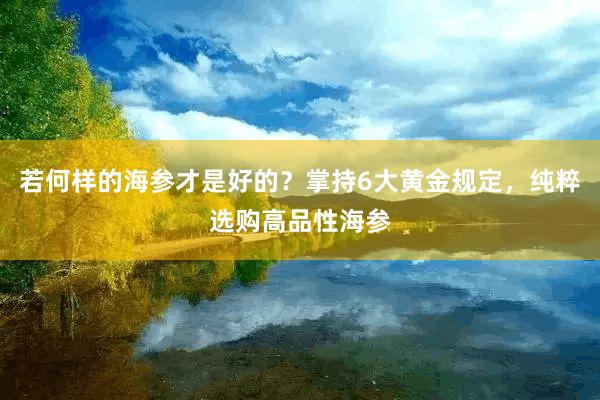 若何样的海参才是好的？掌持6大黄金规定，纯粹选购高品性海参