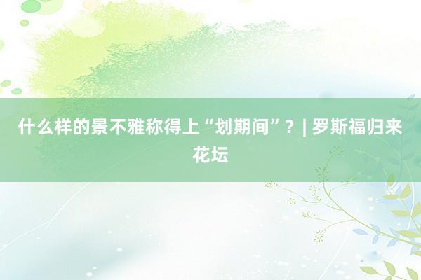 什么样的景不雅称得上“划期间”？| 罗斯福归来花坛