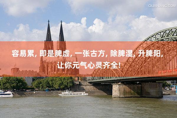 容易累, 即是脾虚, 一张古方, 除脾湿, 升脾阳, 让你元气心灵齐全!