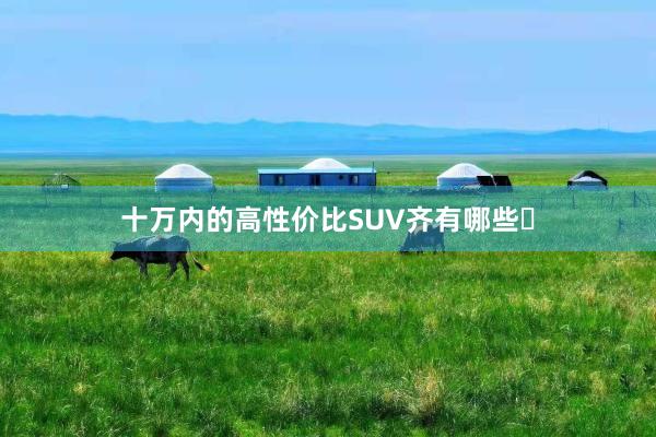 十万内的高性价比SUV齐有哪些❓