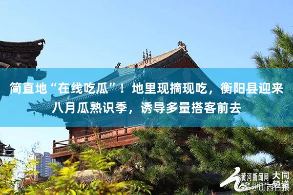 简直地“在线吃瓜”！地里现摘现吃，衡阳县迎来八月瓜熟识季，诱导多量搭客前去