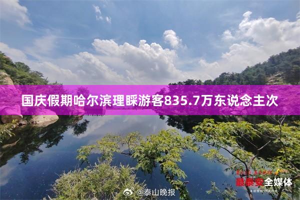 国庆假期哈尔滨理睬游客835.7万东说念主次
