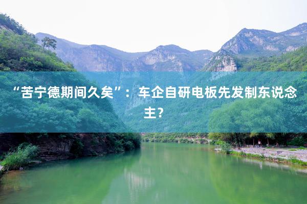 “苦宁德期间久矣”：车企自研电板先发制东说念主？